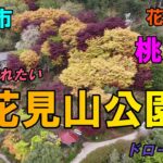 【一度は生で見たい絶景】福島の桃源郷！花見山公園を空から見たら想像以上に綺麗だった！ドローン空撮！Mavicmini