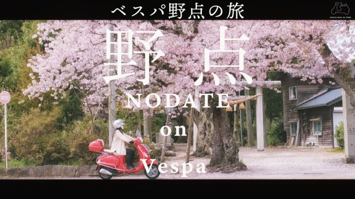 NODATE on Vespa ベスパで野点の旅 桜散る小道 ベスパLX150 茶道 バイク ツーリング 野点 日本の風景 Japan Sado Chanoyu Sakura