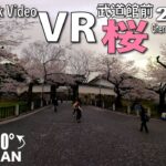 【VR】桜　武道館  VR AMSR in  COVID-19 Japan 2022