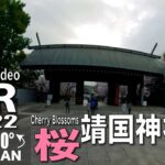 【VR】靖国神社 桜 VR AMSR in  COVID-19 Japan 2022