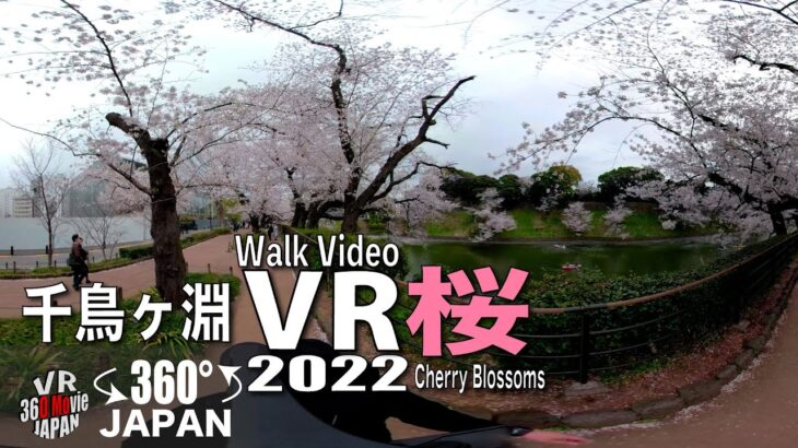 【VR】千鳥ヶ淵　桜 cherryblossm VR AMSR in  COVID-19 Japan 2022