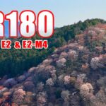 [VR180] 世界遺産 吉野山の桜 VR [5.7K Z CAM E2]