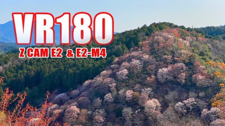 [VR180] 世界遺産 吉野山の桜 VR [5.7K Z CAM E2]