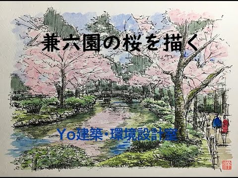 身近な風景スケッチ　～　兼六園　桜満開の風景を描く