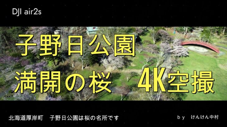 【ドローンで地域を魅力化】北海道厚岸町の桜名所「子野日公園」４ｋ空撮