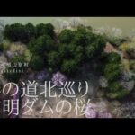 [北海道の春] 桜を追って初山別村へ🌸有明ダム周辺の桜と風景を空撮