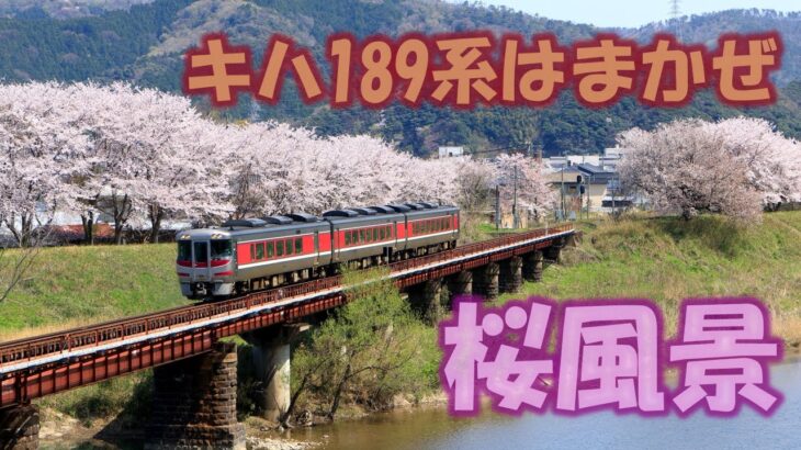 キハ189系はまかぜ桜風景