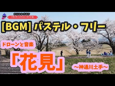 🍆♪ドローンと音楽「花見」神通川土手🍆♪【BGM】【パステル・フリー】【フライティングミュージック13】【作業用】（あさ・はれ・神通川土手）20220410