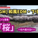 🍆♪ドローンと音楽「桜」杜の里川沿い🍆♪【BGM】【和風EDM・フリー】【フライティングミュージック13】【作業用】（あさ・はれ・杜の里川沿い）20220409