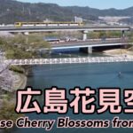 【広島・空撮】桜満開・アストラムライン・京橋川・安田学園ドローン空撮 / FLYING OVER HIROSHIMA, JAPAN【高画質】