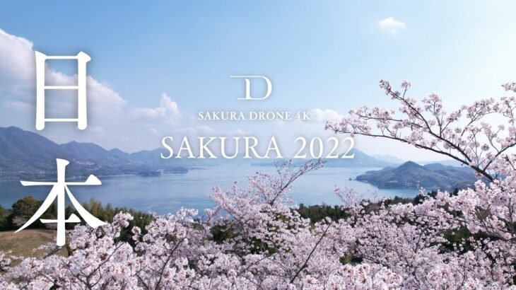 SAKURA 2022 [千本桜 (senbonzakura) Re Arrange ver.] | 桜ドローンプロジェクト