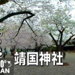 【VR】靖国神社 桜  ２VR AMSR in  COVID-19 Japan 2022