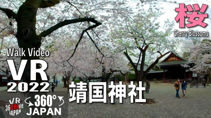 【VR】靖国神社 桜  ２VR AMSR in  COVID-19 Japan 2022