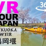 【skillism VR/360】Fukuoka Zeki Sakura Park, Ibaraki / 茨城県 福岡堰さくら公園
