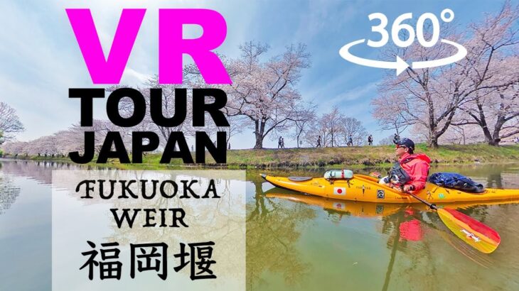 【skillism VR/360】Fukuoka Zeki Sakura Park, Ibaraki / 茨城県 福岡堰さくら公園