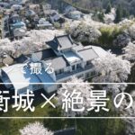 【ドローン絶景】大衡城と桜