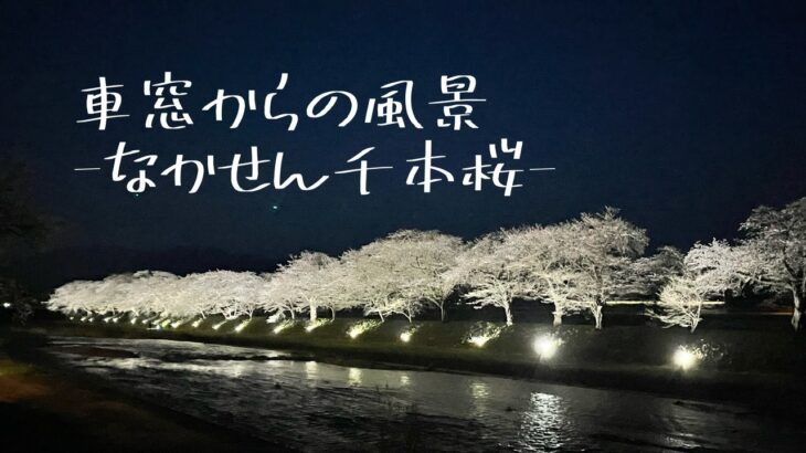 車窓からの風景-なかせん千本桜-