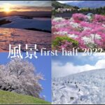 風景2022 first half Summary