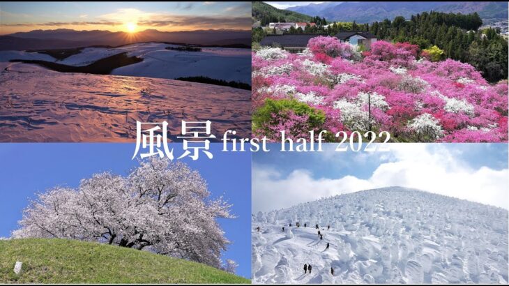 風景2022 first half Summary