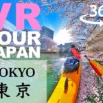 【VR/360 Video】Kayaking in Sakura Canal, Tokyo / 東京都 桜の水路 with Pakayak