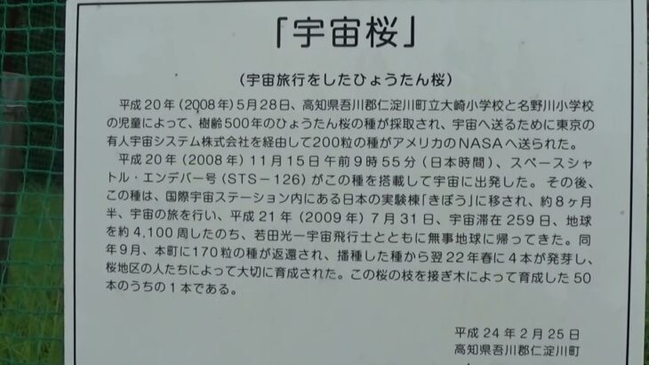 30秒の心象風景22881・宇宙桜～西はりま天文台公園～