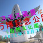 コスモス風景ほか【万博記念公園（自然文化園）】(2022年10月下旬)