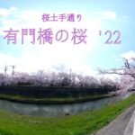 有門橋の桜 ’22　トットリ街歩き