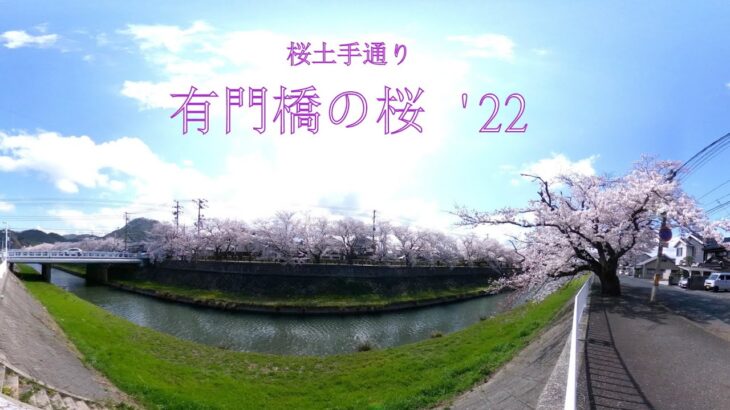 有門橋の桜 ’22　トットリ街歩き