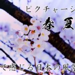 【オリジナル作品】日本の美しくも切ない風景『春夏』
