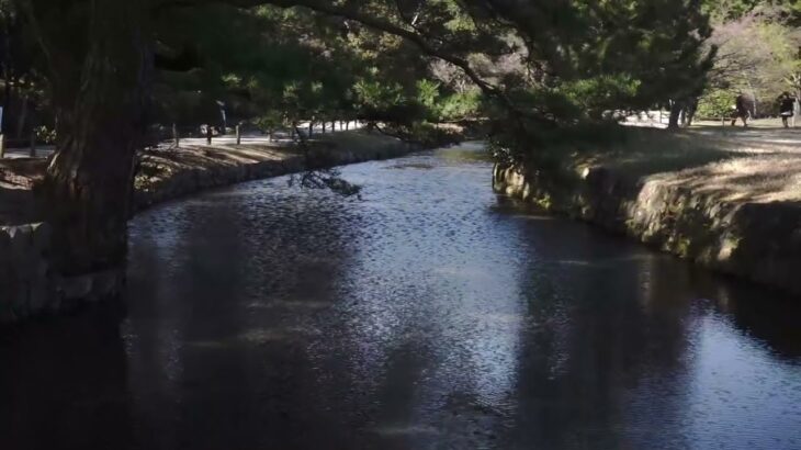 2018年03月24日の風景　栗林公園　桜　Ritsurin Garden,Takamatsu, Kagawa,Shikoku,JAPAN