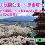 新倉山浅間公園 【忠霊塔】 富士山と五重塔、そして桜をまとめて見られる「ザ・ニッポンの風景」