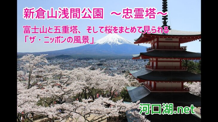 新倉山浅間公園 【忠霊塔】 富士山と五重塔、そして桜をまとめて見られる「ザ・ニッポンの風景」