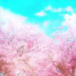 [背景フリー素材]    風景・桜並木・幻想的