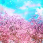 [背景フリー素材]    風景・桜並木・幻想的