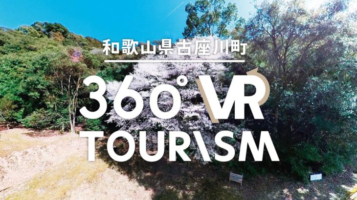 古座川の桜｜和歌山県古座川町360°VR TOURISM