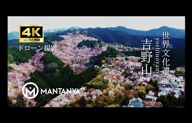 桜 / 吉野山世界文化遺産ドローン撮影【４K】