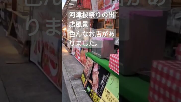 河津桜祭りの出店風景。色んなお店がありました。