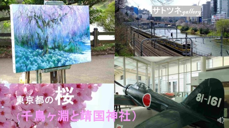 東京都の桜（千鳥ヶ淵と靖国神社）です。靖国神社にはゼロ戦が展示されていました。また電車のそばの桜も風景でよかったです。