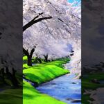 桜と小川の風景 人口知能生成 AI生成 cherry blossoms and Stream AI generation Short version