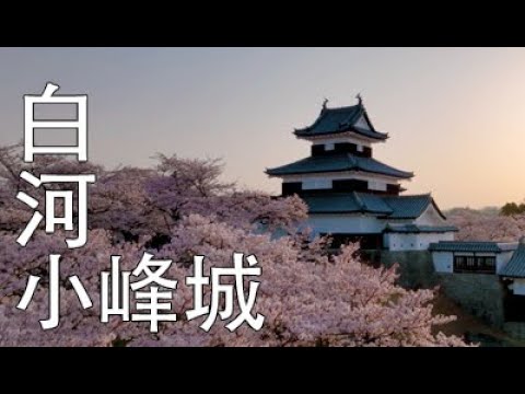 【ドローン撮影】白河小峰城の桜 SAKURA DRONE空撮