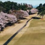 【ドローン映像】鹿沼カントリー俱楽部の桜