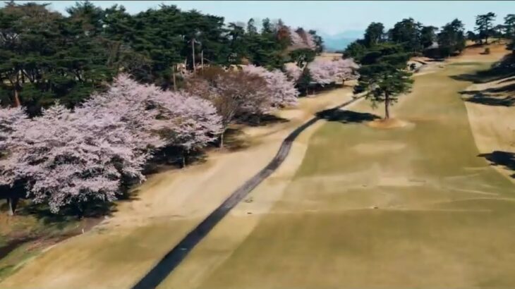【ドローン映像】鹿沼カントリー俱楽部の桜