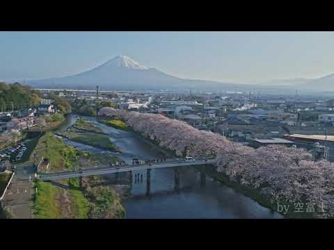 【ドローン空撮】　富士山×桜　【撮影地：静岡県富士市　龍厳淵】