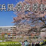 【横浜風景夜景動画 0476】よく晴れた4月の昼間、汽車道の満開の桜と横浜ワールドポーターズと青い空 20230401
