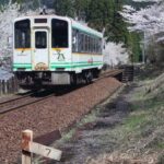 大川ダム公園駅　さくら・桜・さくら　今日一の風景 2023-04-11