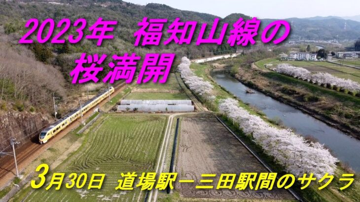 2023年 福知山線のさくら  河川敷の桜並木と列車を撮ってみました、春らしい風景をお楽しみください。