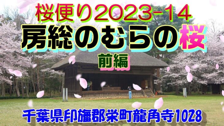 桜便り2023-14  房総のむらの桜　前編　”昔なつかしい風景の中に咲く300本を超える桜”