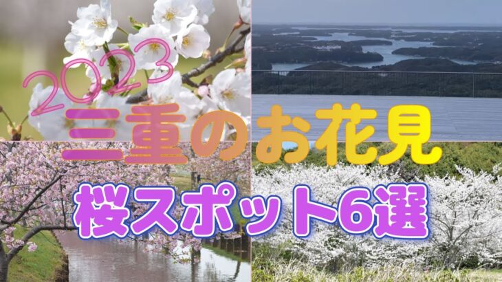 横山展望台天空テラスの朝日/ドローン三重南勢の桜便り/2023お花見6選