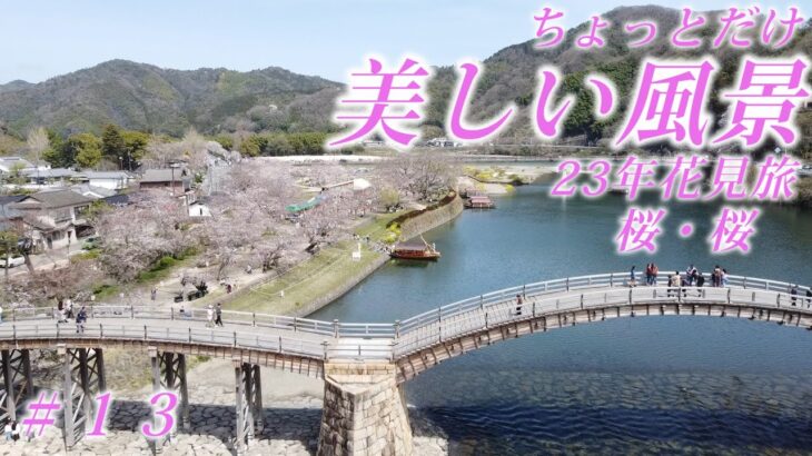 美しい風景　＃１３　23年花見旅桜・名もない桜並木