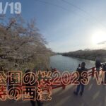 【360度動画】弘前公園の桜2023 VR散歩　黄昏時の西濠